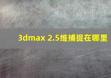 3dmax 2.5维捕捉在哪里